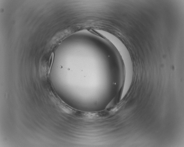 X0000053060333200508011920