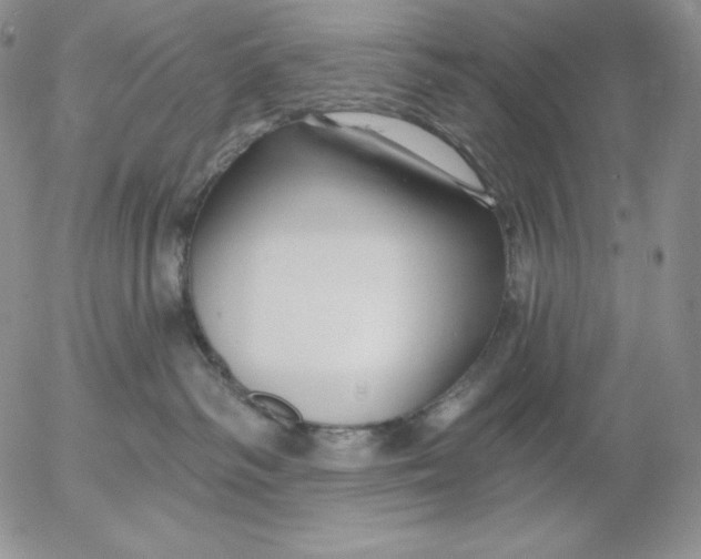 X0000053060334200508011920