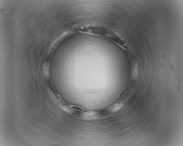 X0000053060335200508011920