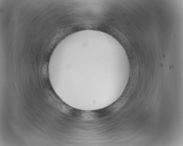 X0000053060336200508011920