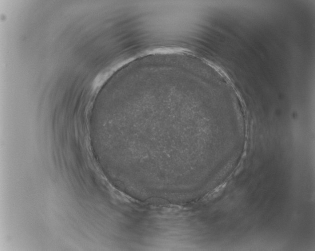 X0000053060337200508011919