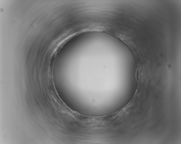 X0000053060338200508011920