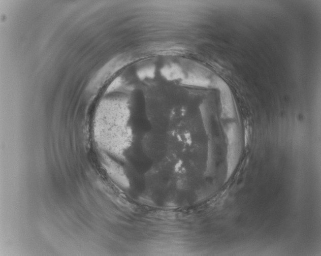 X0000053060339200508011920