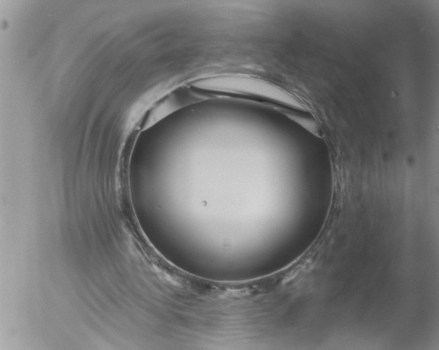 X0000053060340200508011920