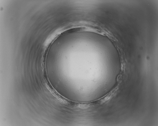 X0000053060341200508011920