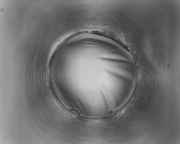 X0000053060342200508011920