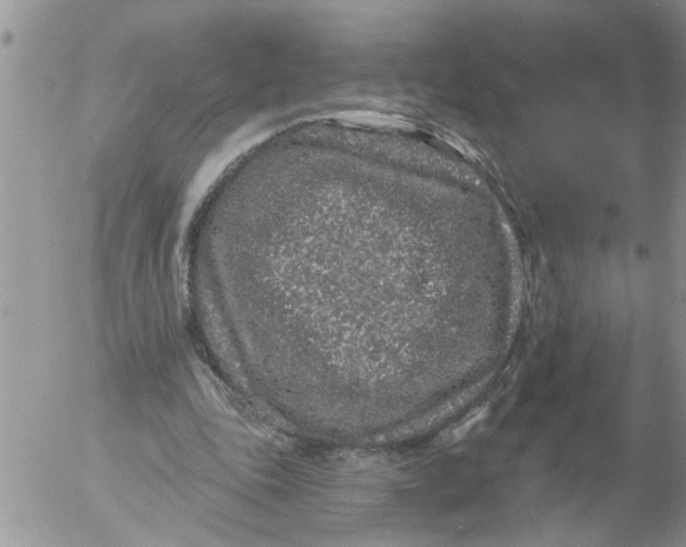 X0000053060343200508011920