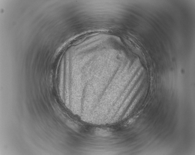 X0000053060346200508011920