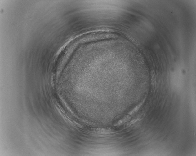 X0000053060347200508011920