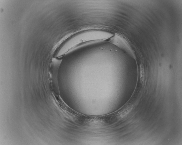 X0000053060348200508011920