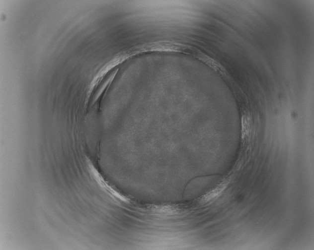 X0000053060349200508011920