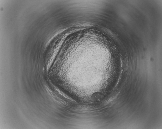 X0000053060351200508011920