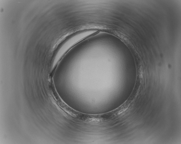 X0000053060352200508011920