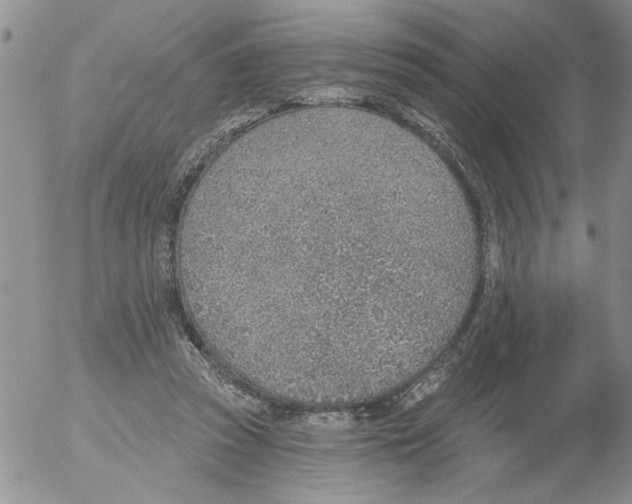 X0000053060353200508011920