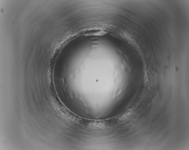 X0000053060354200508011920