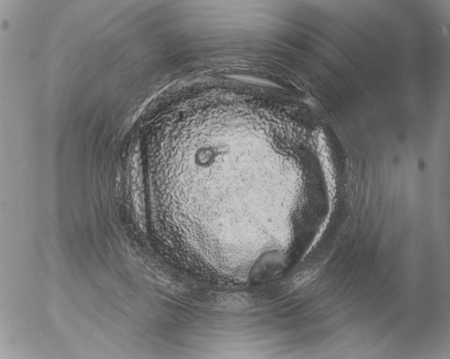 X0000053060355200508011920