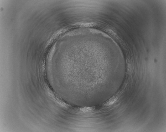 X0000053060357200508011920