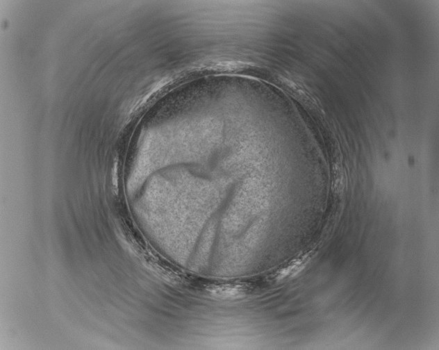 X0000053060358200508011920