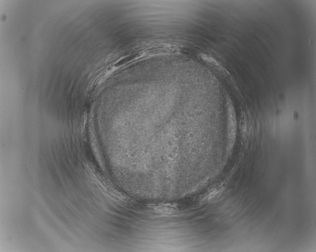 X0000053060359200508011920