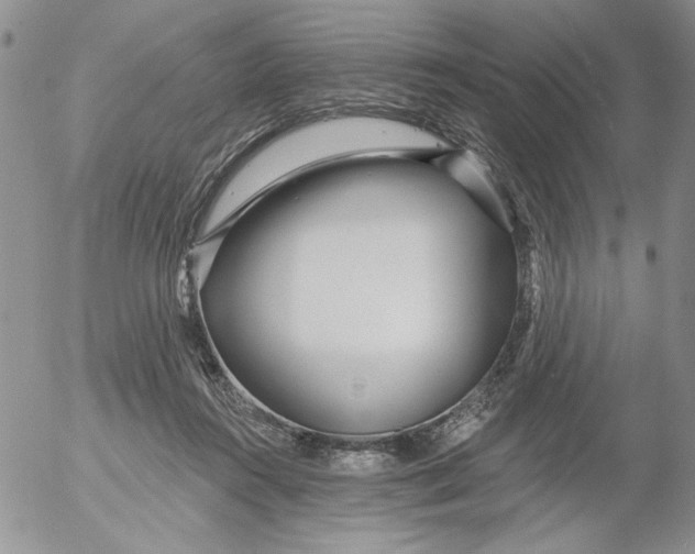 X0000053060360200508011920