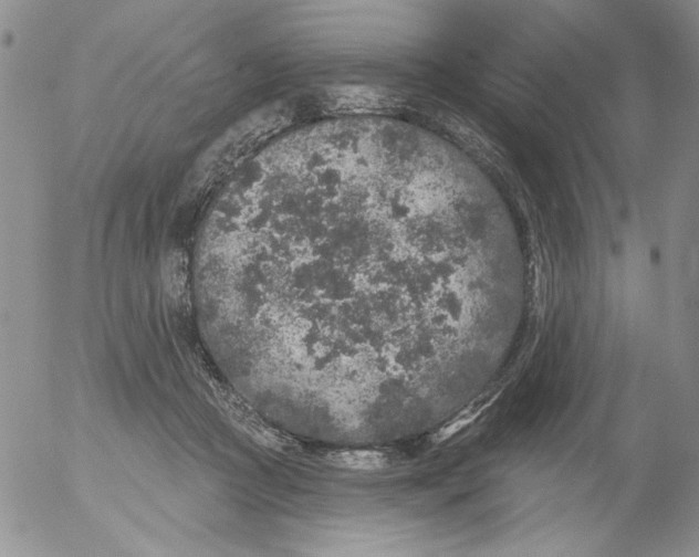 X0000053060361200508011920