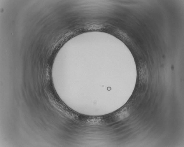 X0000053060362200508011920