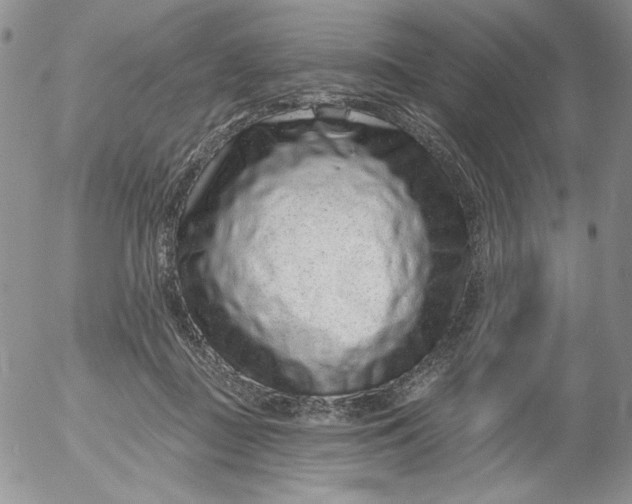 X0000053060363200508011920