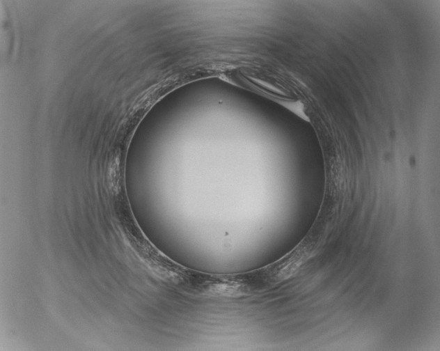 X0000053060364200508011920