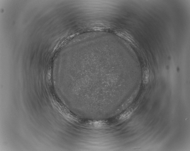 X0000053060365200508011920