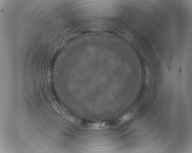 X0000053060366200508011920