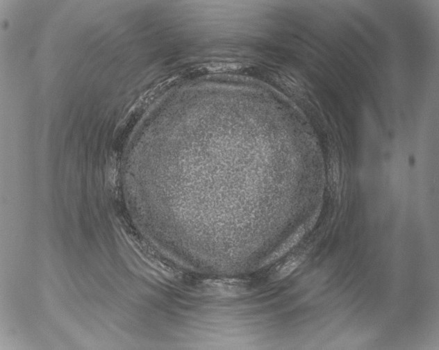 X0000053060367200508011920