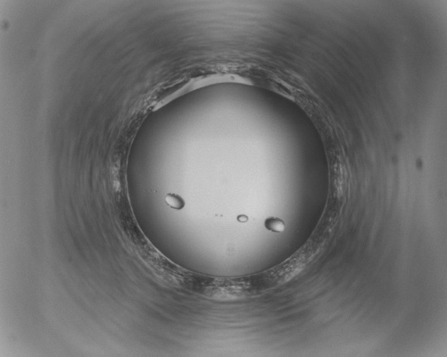 X0000053060368200508011920