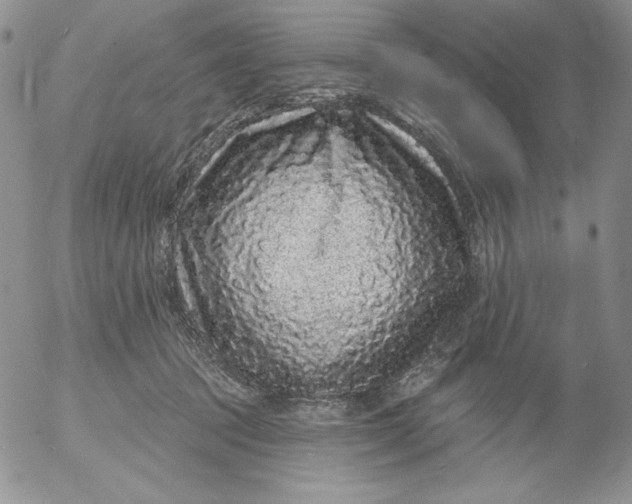 X0000053060369200508011920