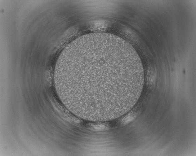 X0000053060370200508011920