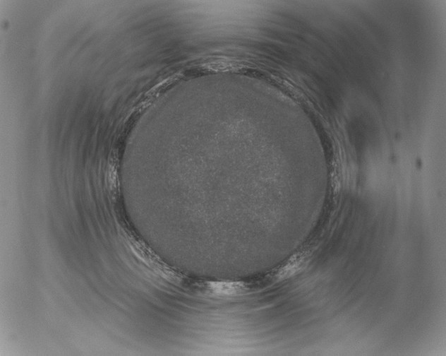 X0000053060371200508011920