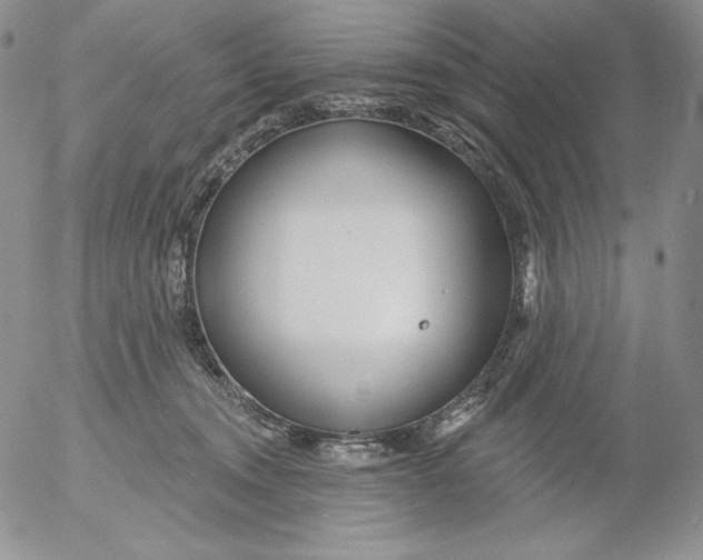 X0000053060372200508011920