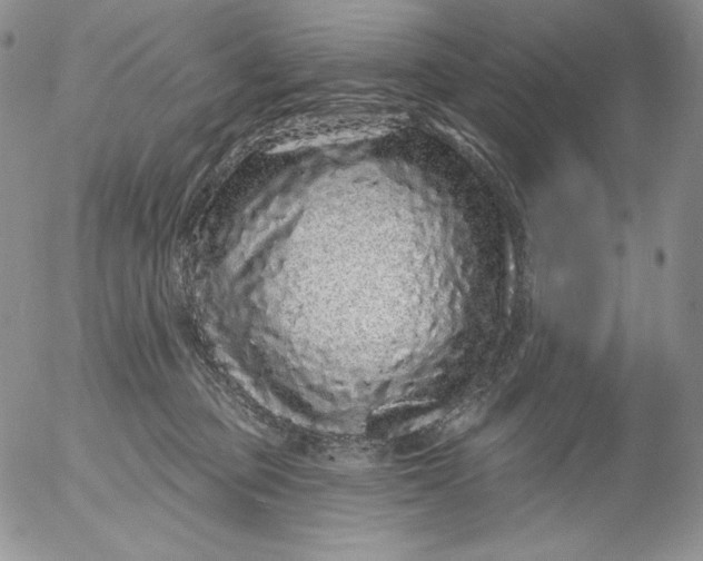 X0000053060373200508011920