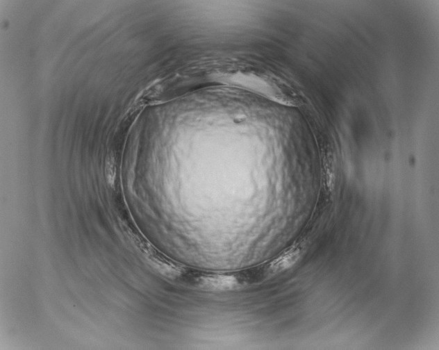 X0000053060374200508011920