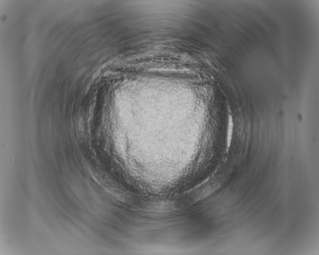 X0000053060375200508011920