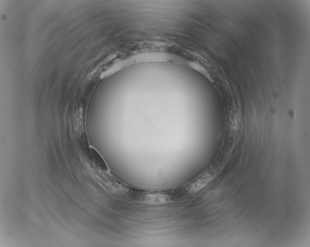 X0000053060376200508011920