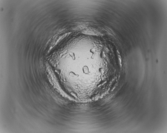 X0000053060377200508011920