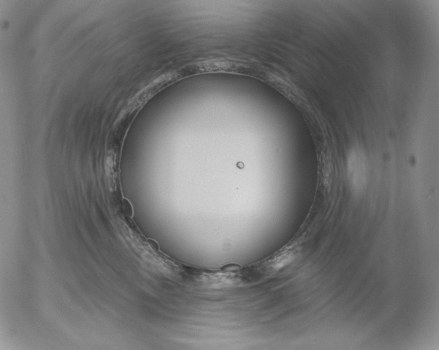 X0000053060378200508011920