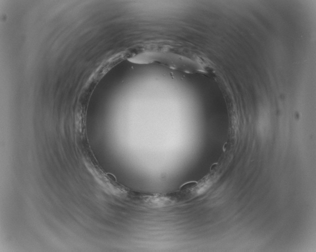 X0000053060379200508011920