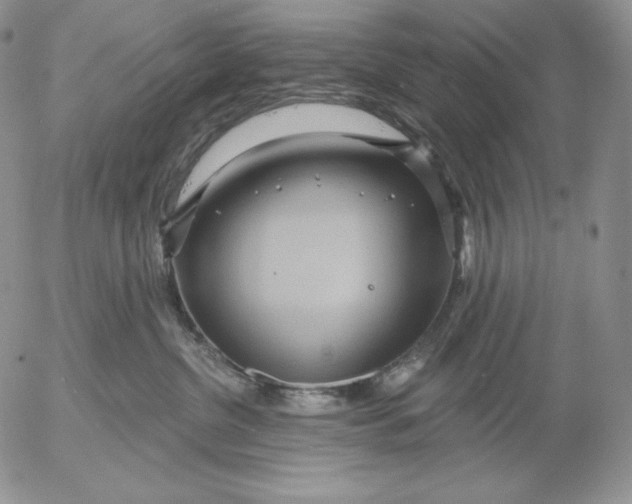 X0000053060380200508011920