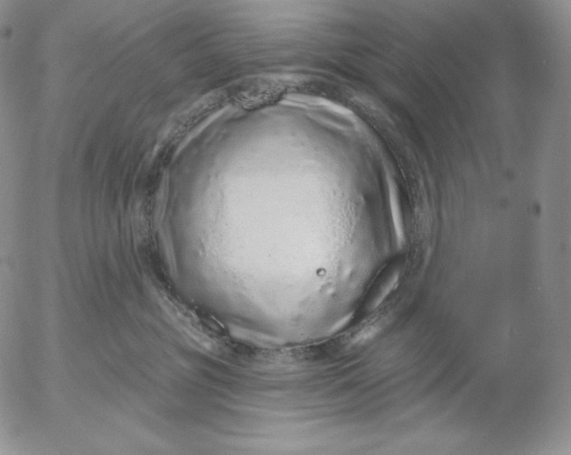 X0000053060381200508011920