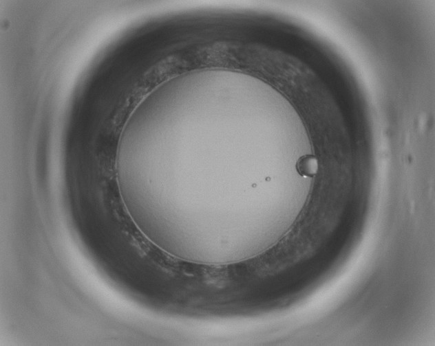 X0000053060382200508011920