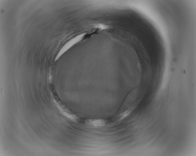 X0000053060383200508011920