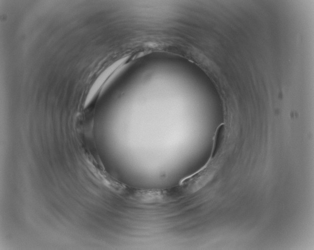 X0000053060384200508011920