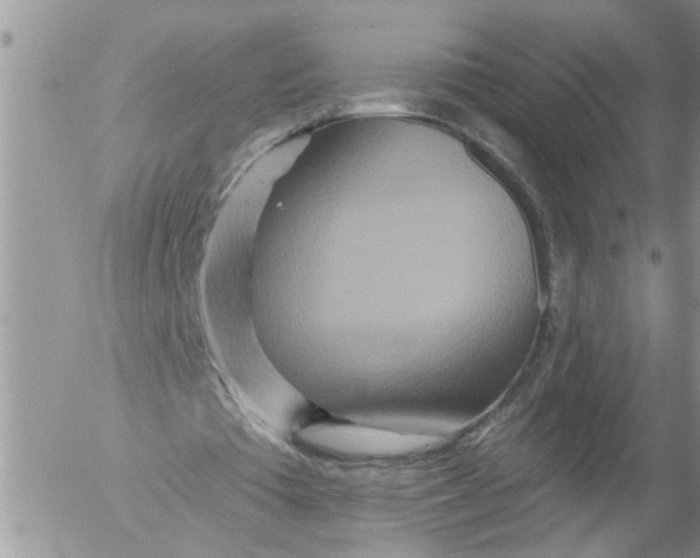 X0000053060385200508011919