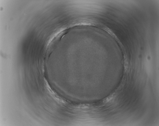 X0000053060386200508011919